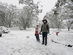 nsw landscape picture