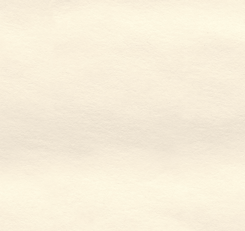 book critique background