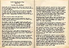 pinski novel chapter
